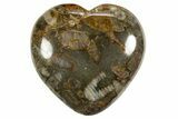 1.7" Colorful Fossil Crinoid Stems In Marble Hearts - Photo 2